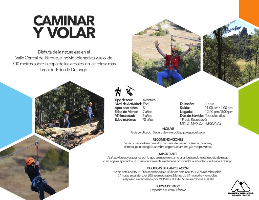 CAMINAR Y VOLAR