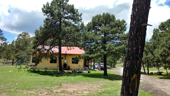 carreta4