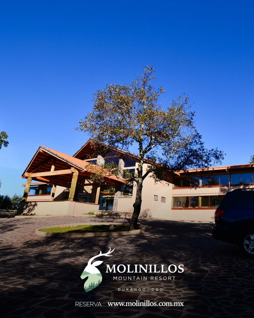 molinillos22