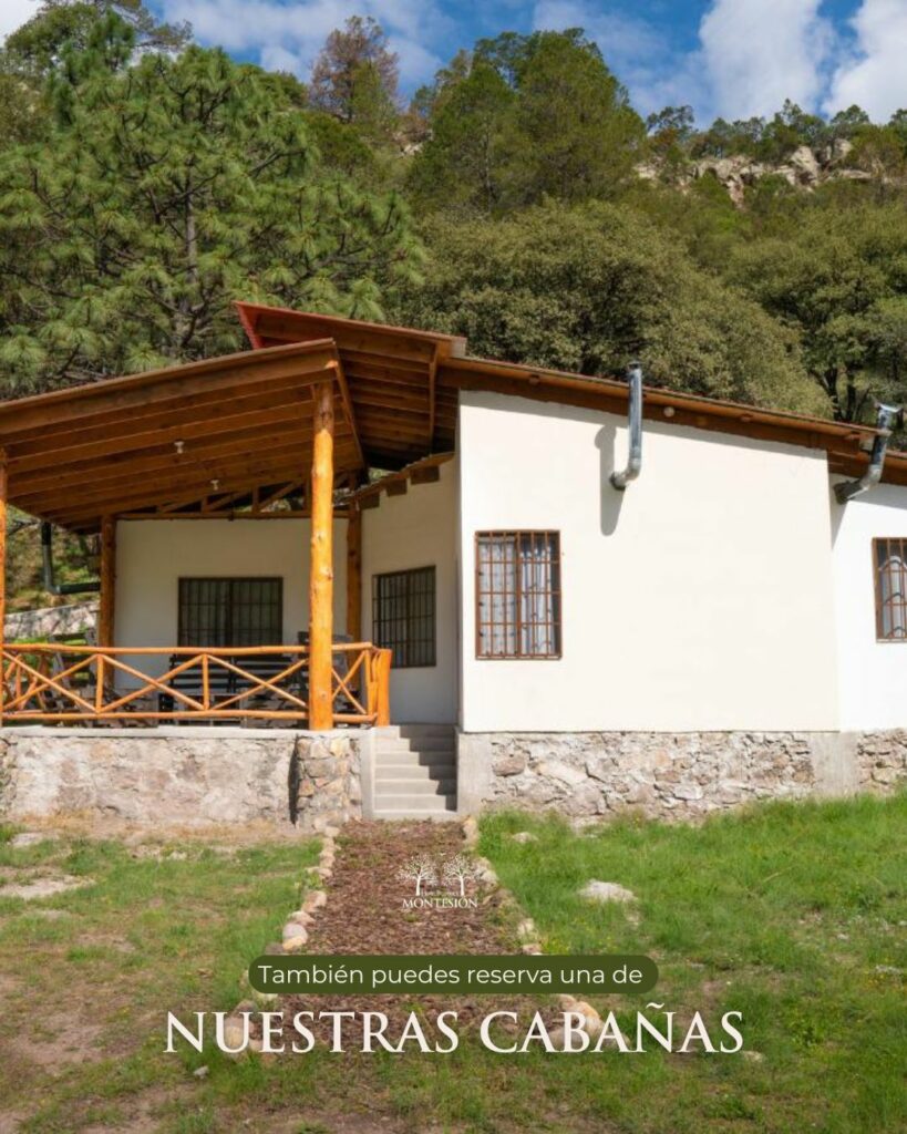 montesion22
