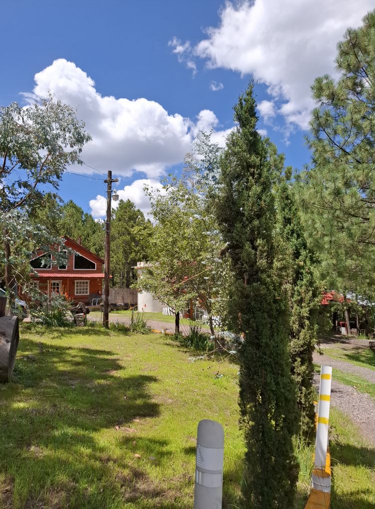 refugio