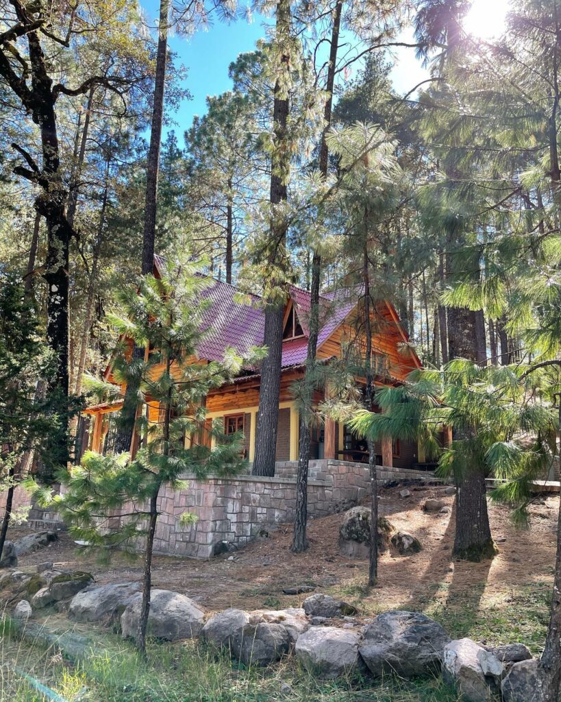 encinos3