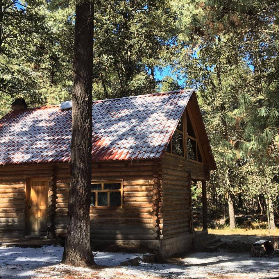 133802992_1319109885114264_1584960253812927664_n