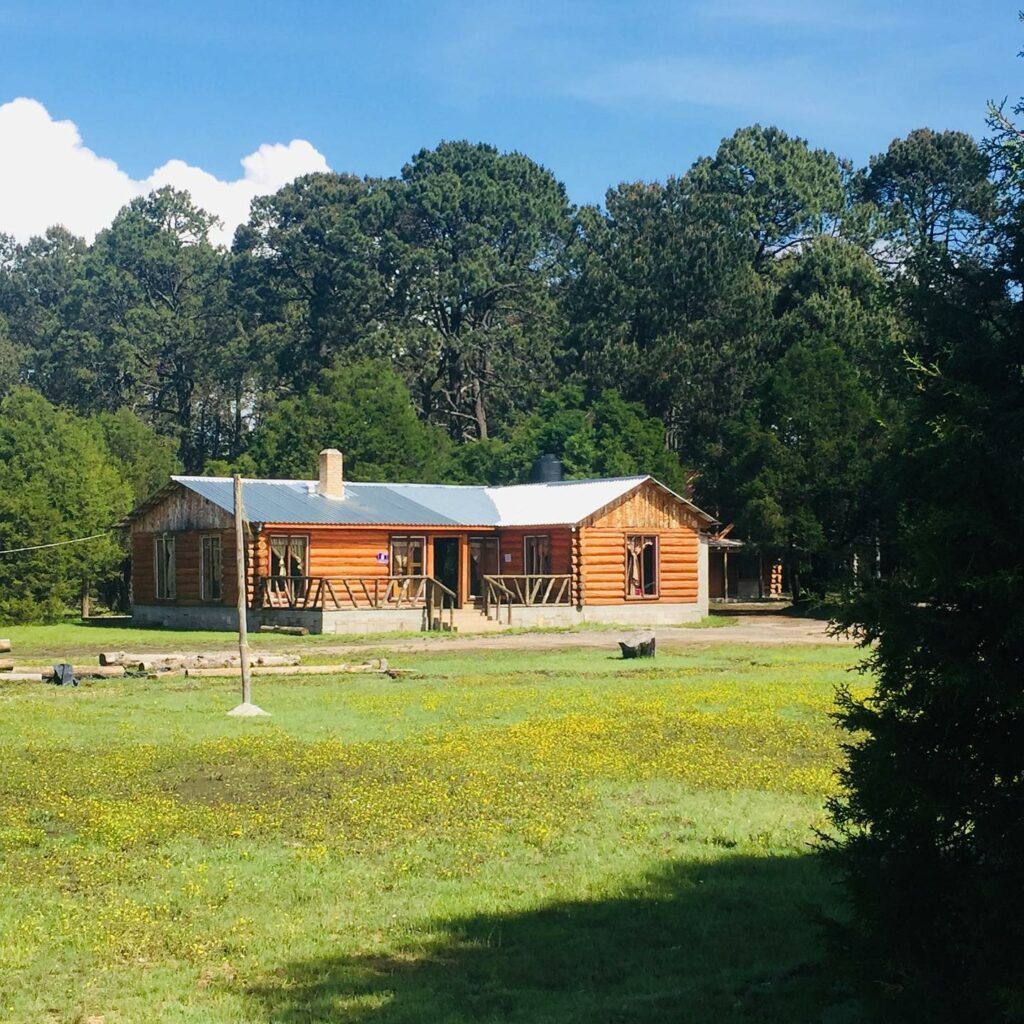 141621902_873776143165173_7944430678299570954_n