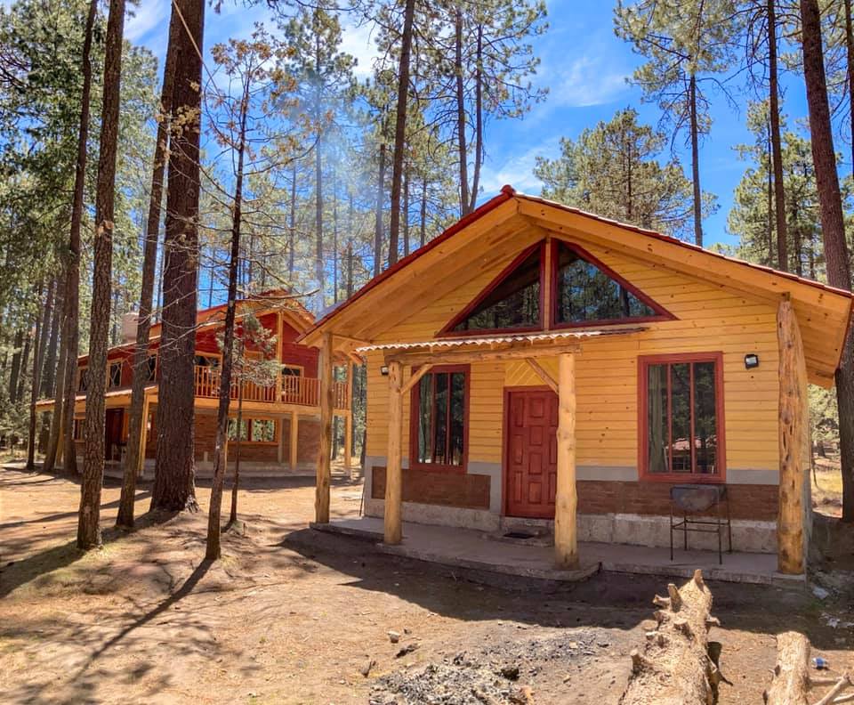 174120392_288553182673542_3964776022924380016_n