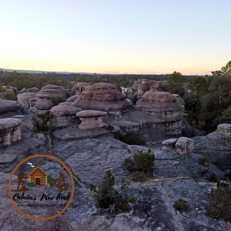 279893157_514820306749557_5596145845355869684_n