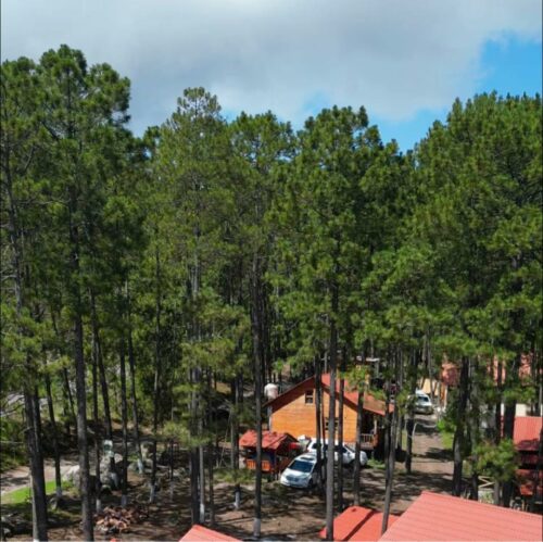 364796474_747783887359310_8724911969442276046_n