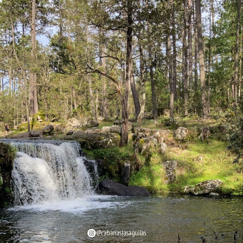 468528167_1079388770256642_2635283702069114980_n