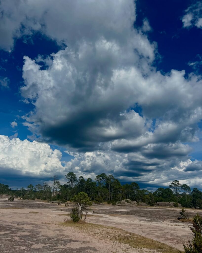 469691489_18048667676490450_2807209496359719525_n