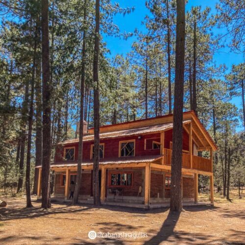 470202188_1087160789479440_5322377462086145559_n