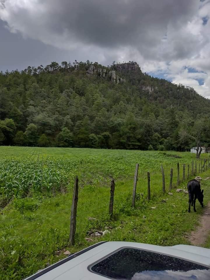 470203979_2321532098205366_7010407186254296109_n