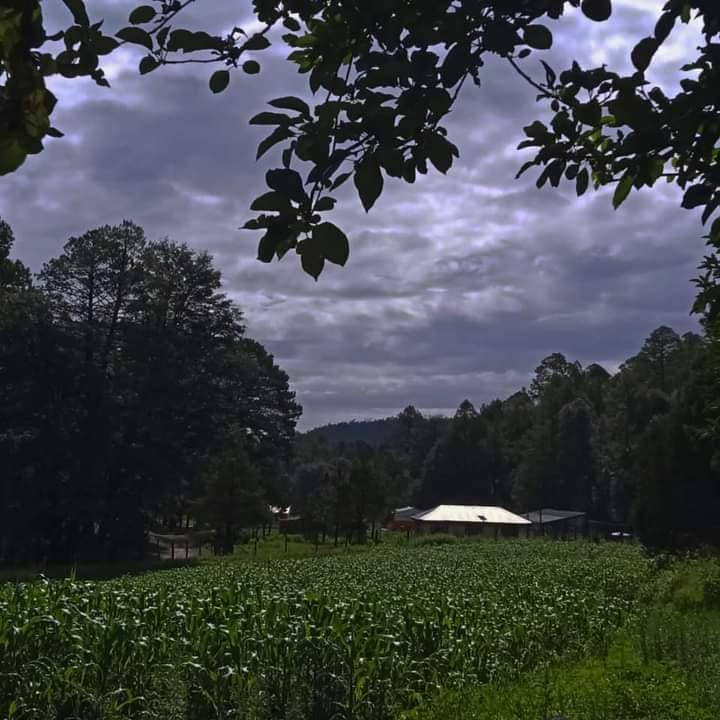 470211106_2321532311538678_5094869068700396207_n