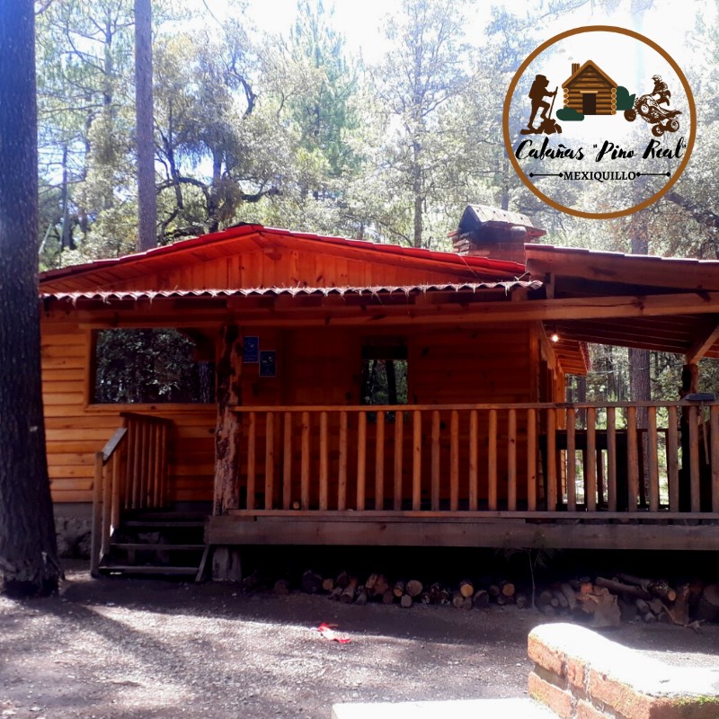 471141292_1093717215526527_9072277792467632335_n