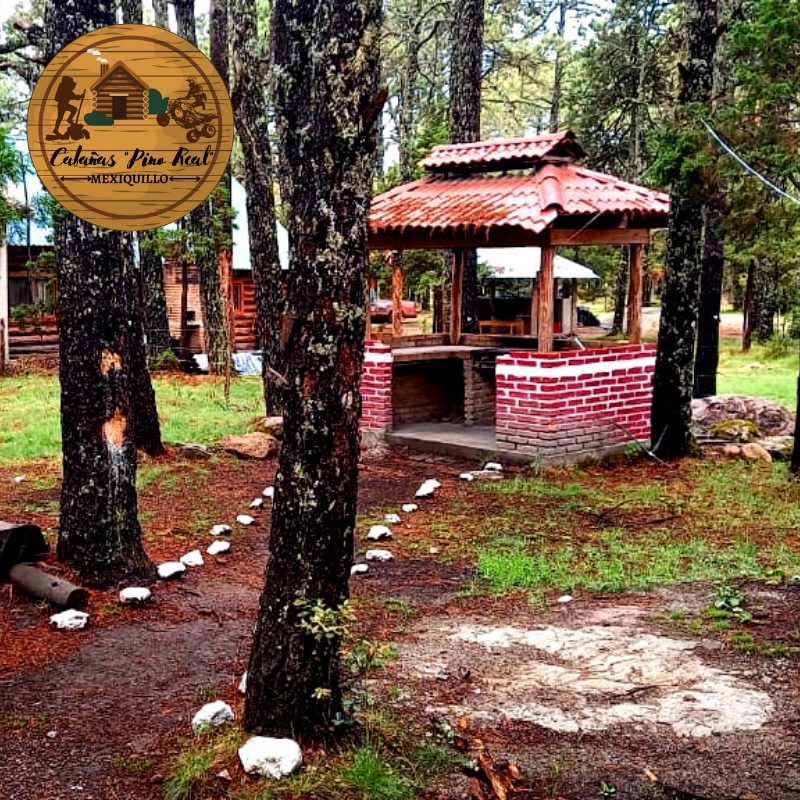 471202631_1093714292193486_8955996910426570882_n