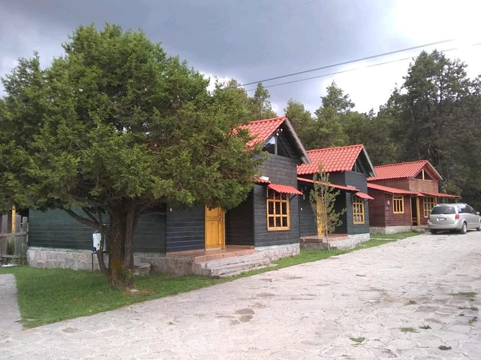 475452224_1911559239373326_7421669797327296304_n