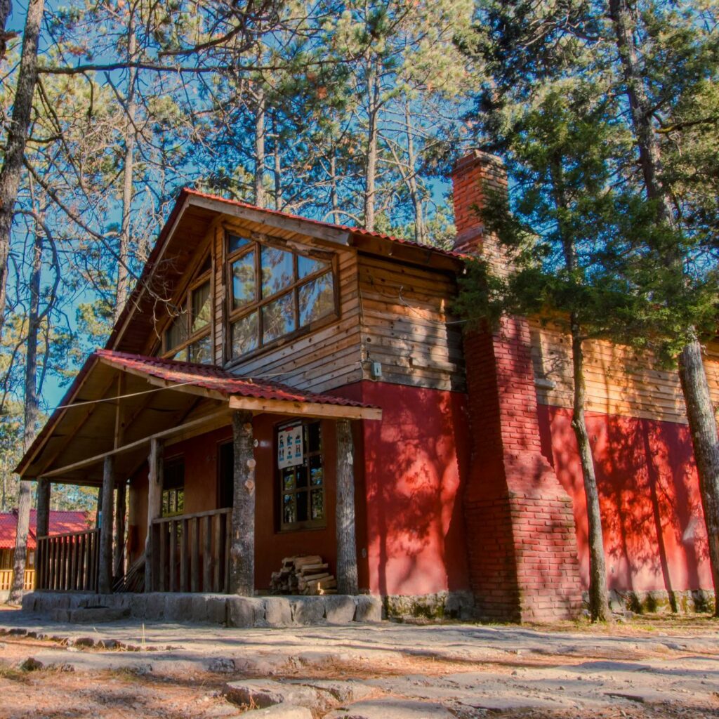 475786276_612918241347482_1336594102763822905_n