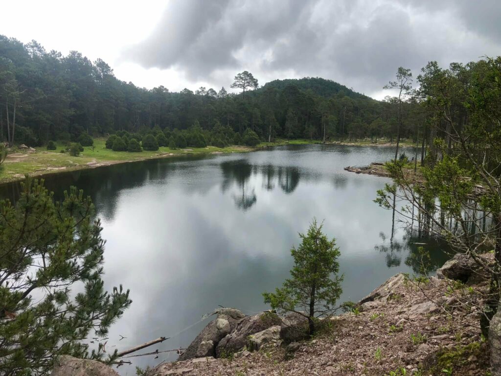 480573722_1173336091470752_6873852303519365933_n