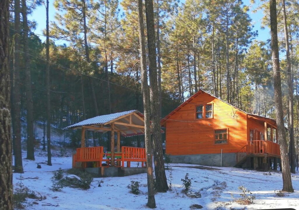 481056755_1184314327039595_3614737041934701745_n