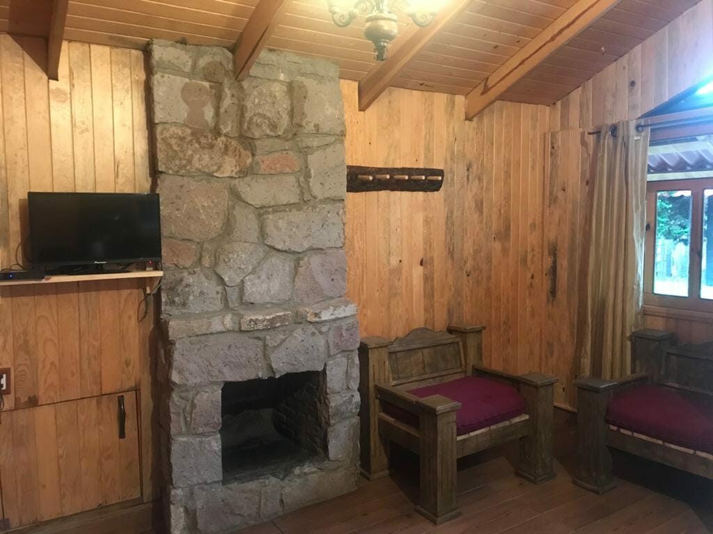 485132877_1280801690429193_7370422621641127834_n