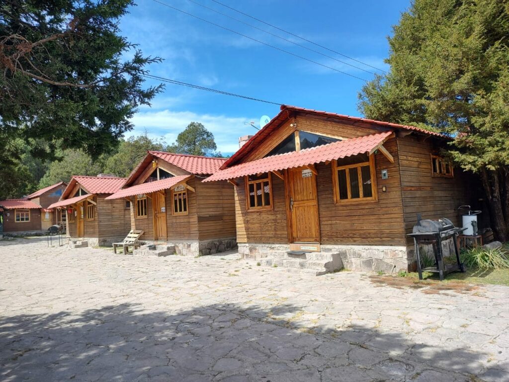 485782939_1282156343627061_4561853750524774130_n