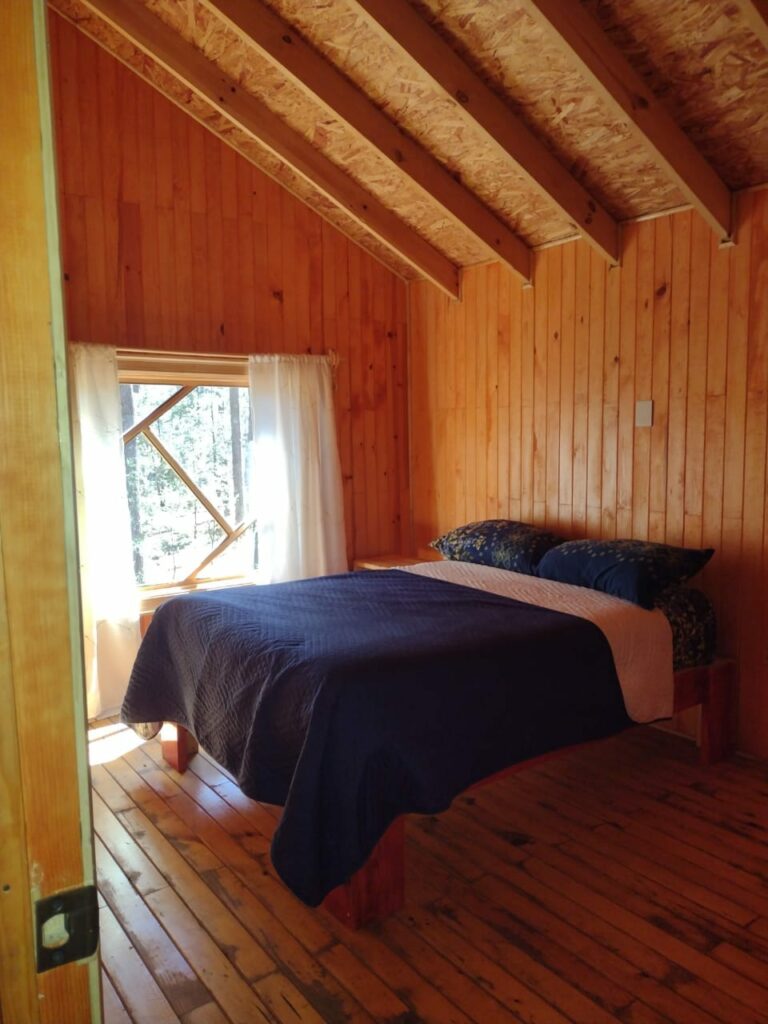 488483650_1207292158067265_8606403690062765164_n