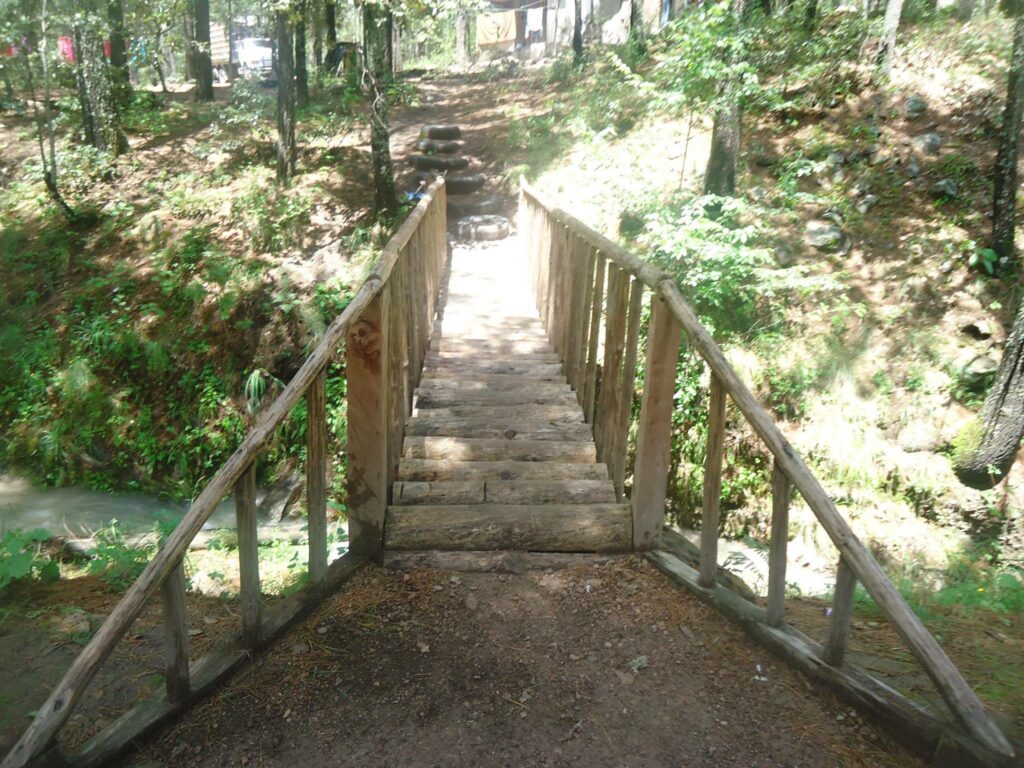 491546688_2427822487576326_3289862447220042843_n