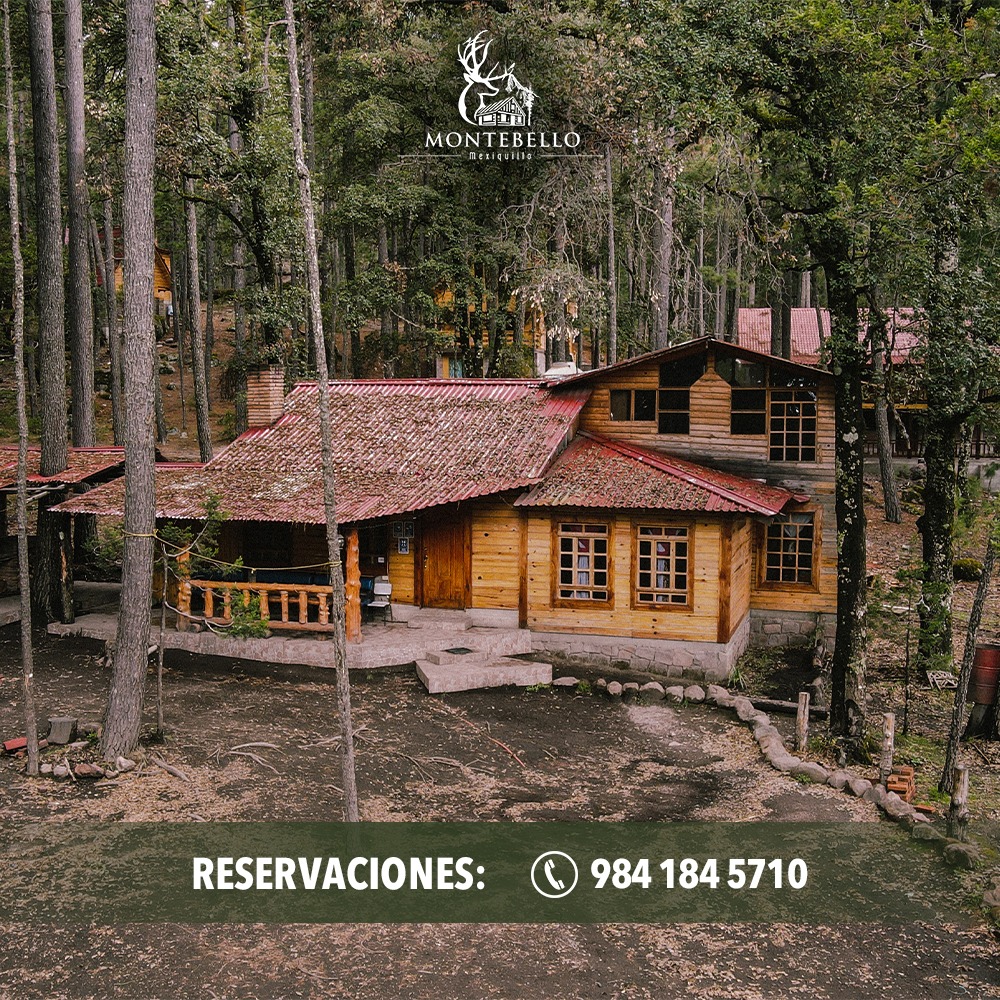 495547227_1224220349709888_2812114673391166334_n