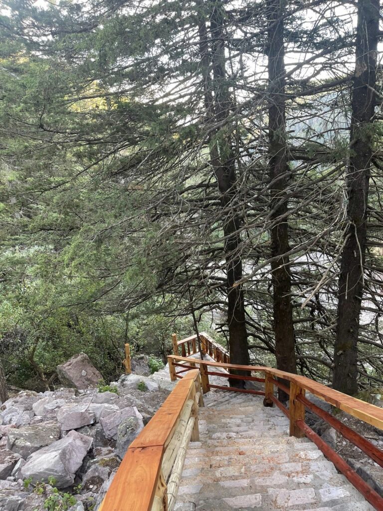 513917324_1022600916522584_6962094001714612620_n