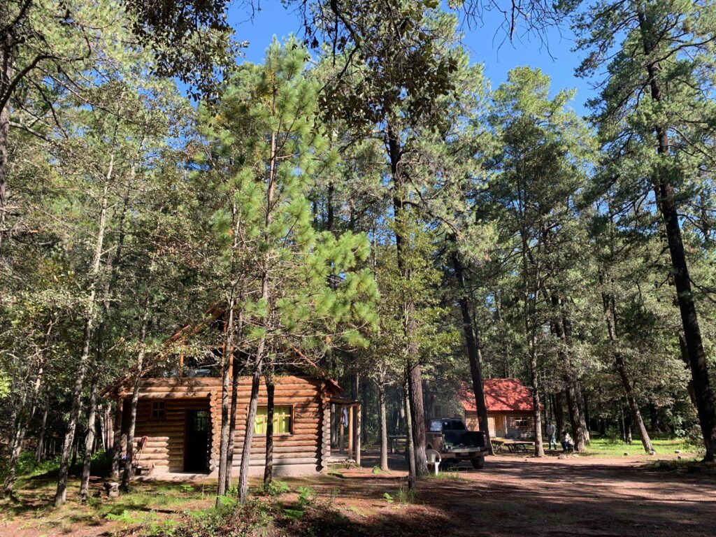 534891322_1161006696062828_3497399234936768217_n