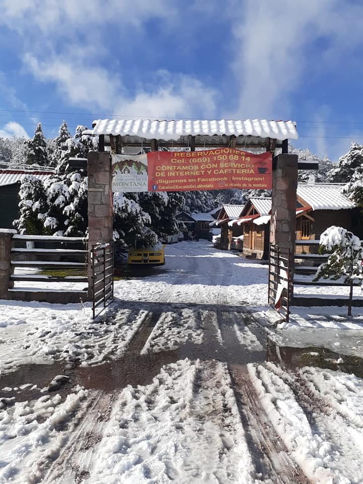 81553963_695792717616657_9052529293065715712_n