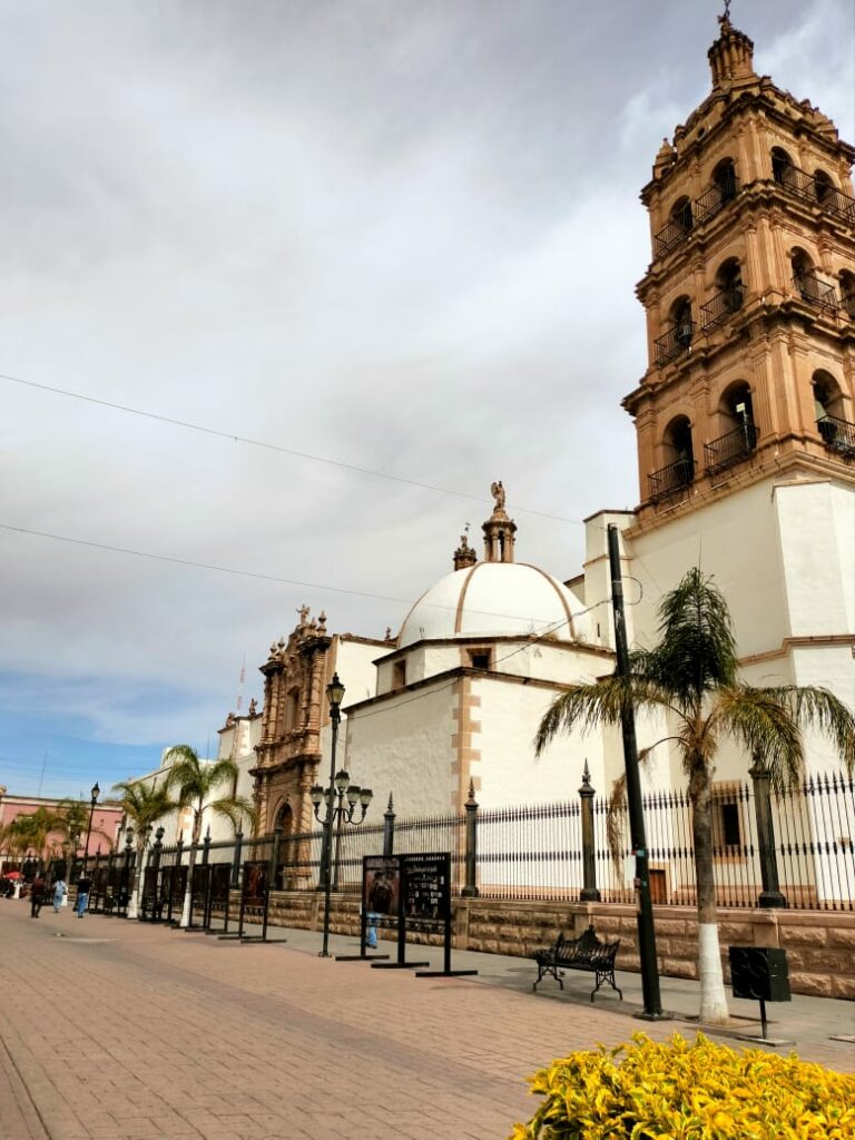 WhatsApp Image 2025-10-23 at 10.27.09 AM