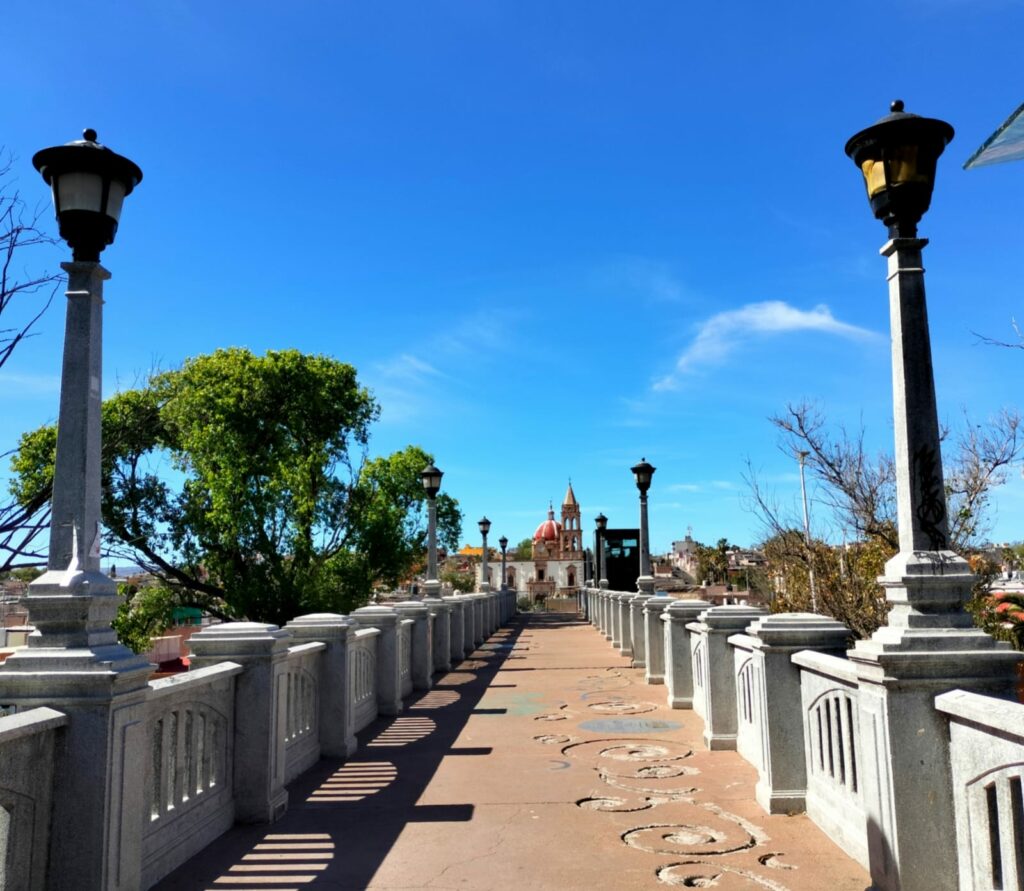 WhatsApp Image 2026-02-05 at 12.09.11 PM (2)